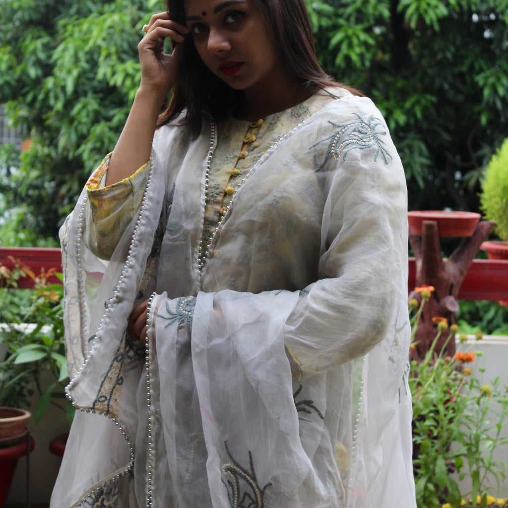 Grey Oraganza Dupatta with Chikankari